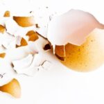 ประโยชน์ของเปลือกไข่