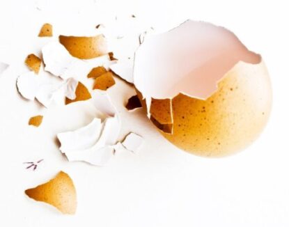 ประโยชน์ของเปลือกไข่