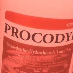 โปรโคดิล